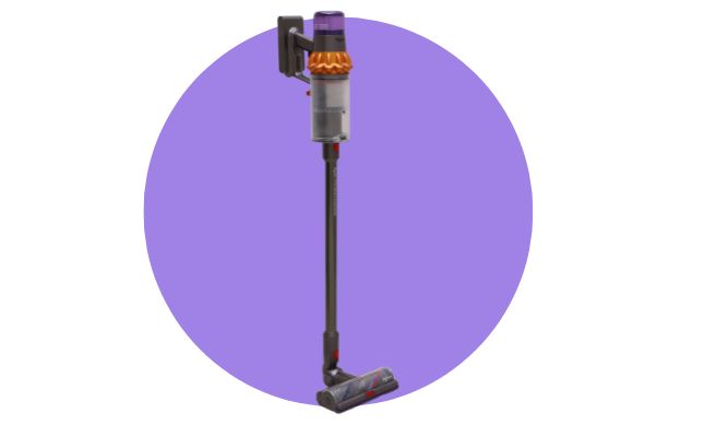 Dyson Detect V15s Submarine